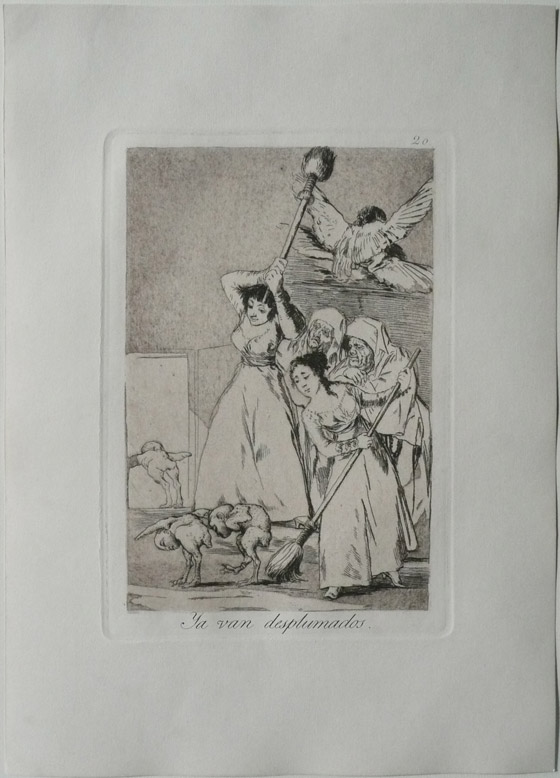Francisco Goya: Schon gehen sie gerupft davon