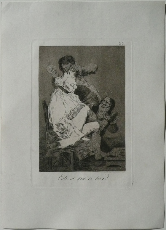 Francisco Goya: Das nennt man lesen