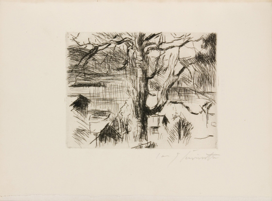 Lovis Corinth: Baum am Walchensee