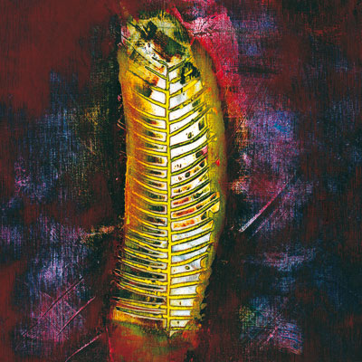 Lons: fossile 2